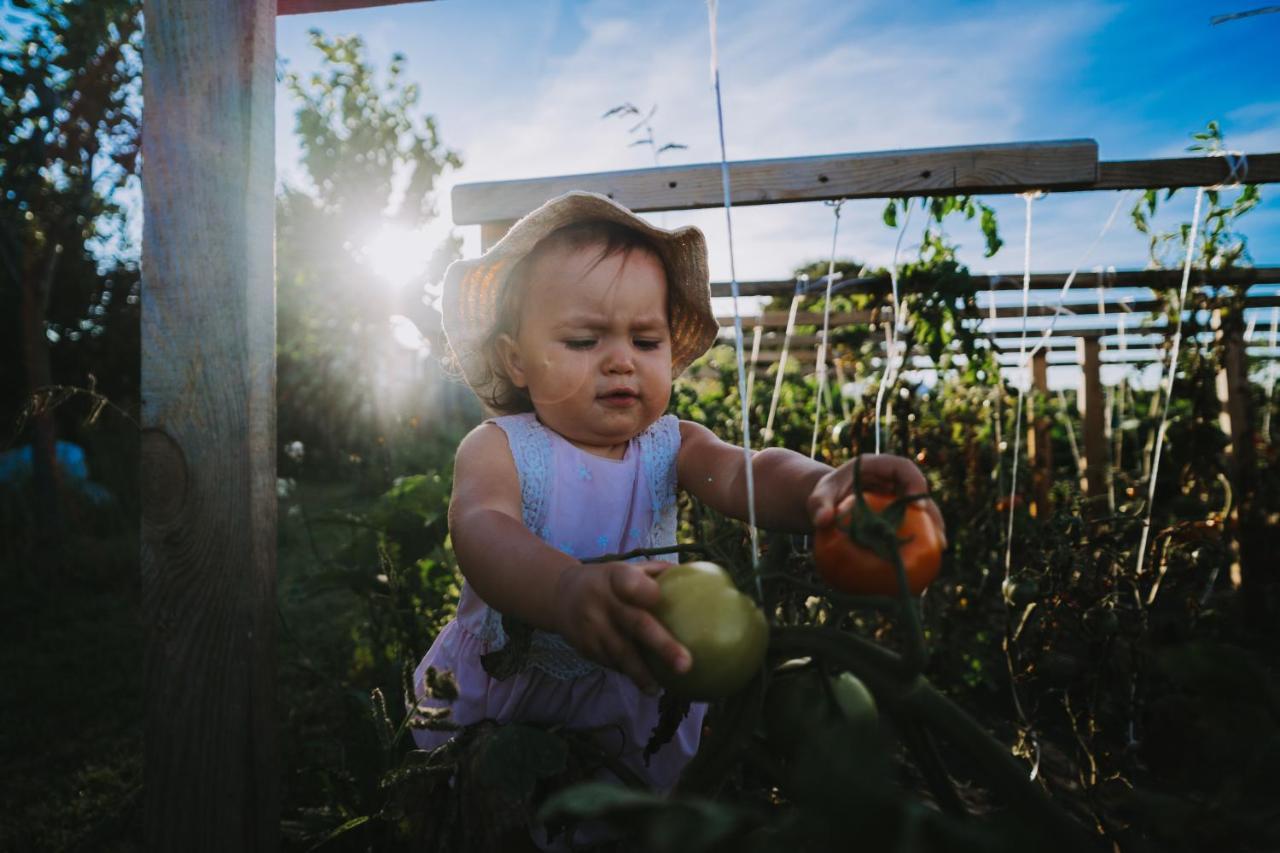 Agroturystyka Sielanka Przasnysz Bagian luar foto
